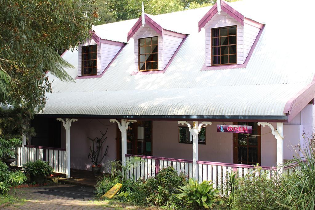Dancing Waters Cottage Springbrook Kültér fotó